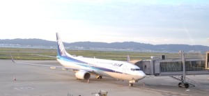 乗る飛行機